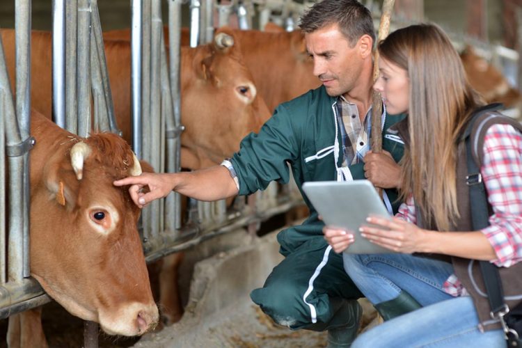 Produtos Veterin&aacute;rios  