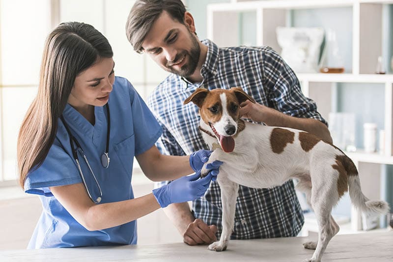 Estudos Cl&iacute;nicos